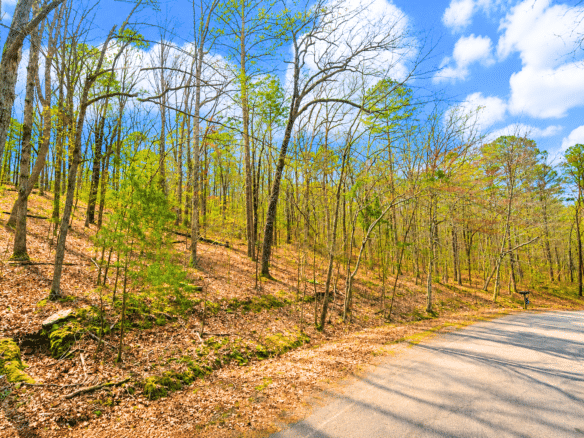 0.33-Acre Land for Sale in Ozarks, Arkansas