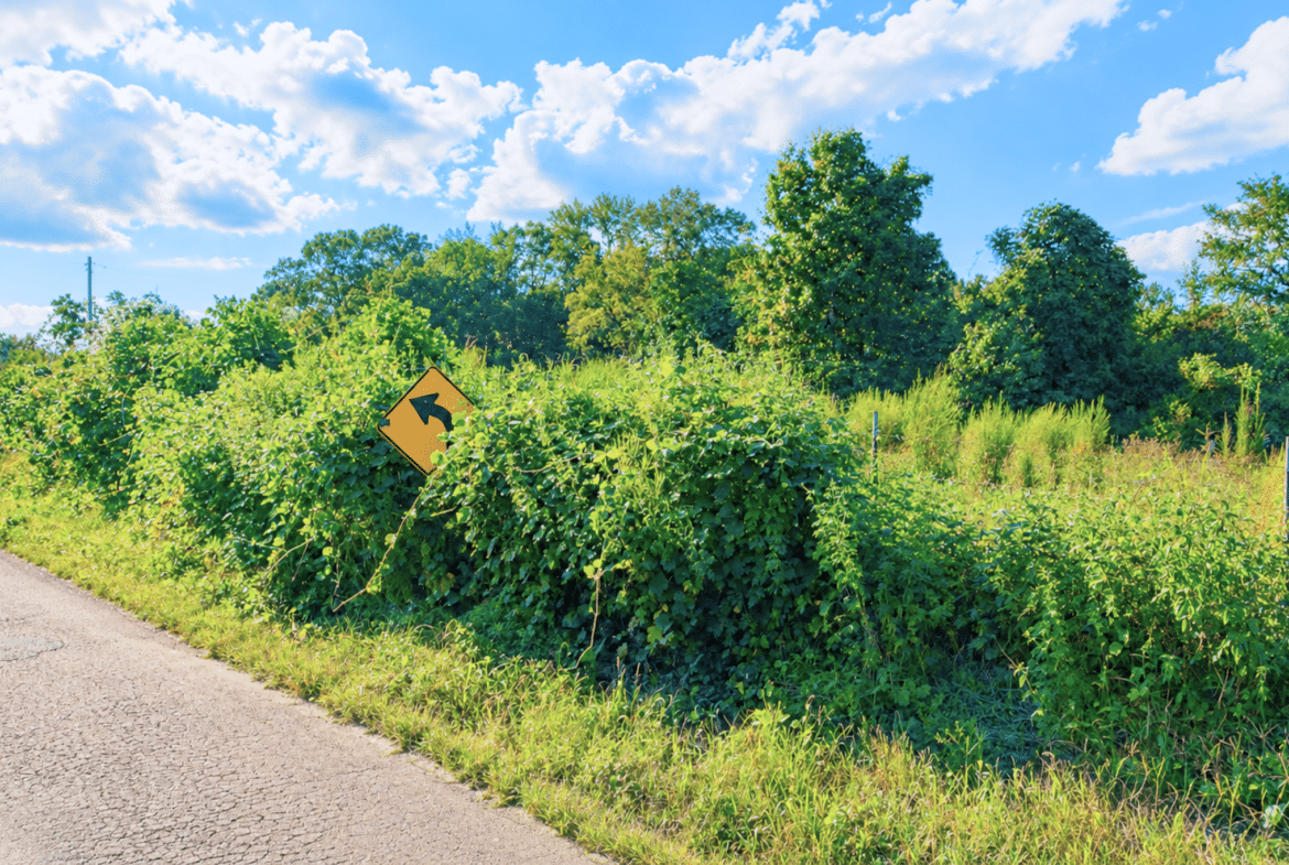 0.10 Acre Unrestricted Lot!