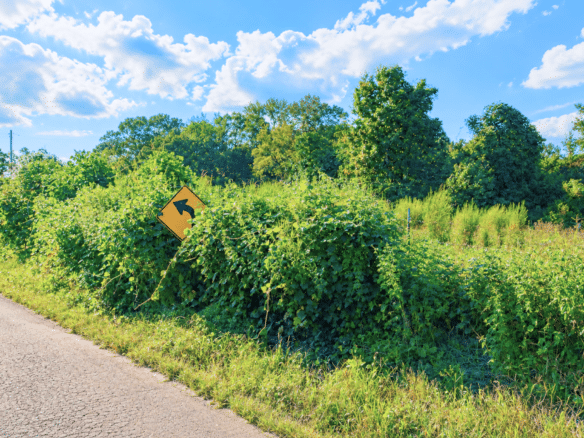 0.10 Acre Unrestricted Lot!