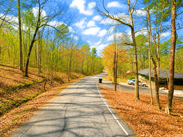 0.33-Acre Land for Sale in Ozarks, Arkansas