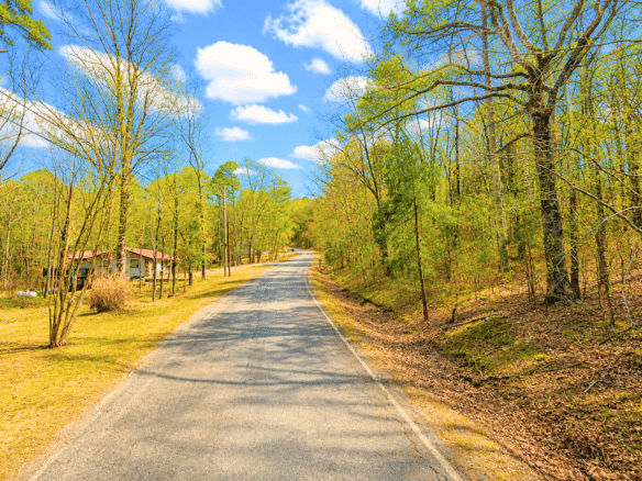 0.33-Acre Land for Sale in Ozarks, Arkansas