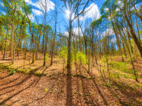 0.33-Acre Land for Sale in Ozarks, Arkansas