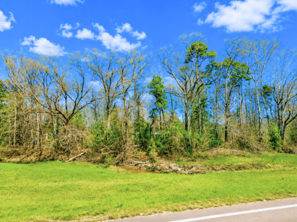 0.31 Acres with Highway Frontage & a Peaceful Creek!