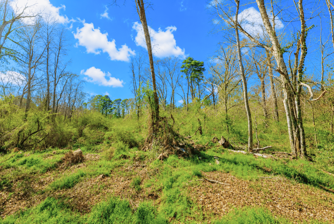 0.31 Acres with Highway Frontage & a Peaceful Creek!