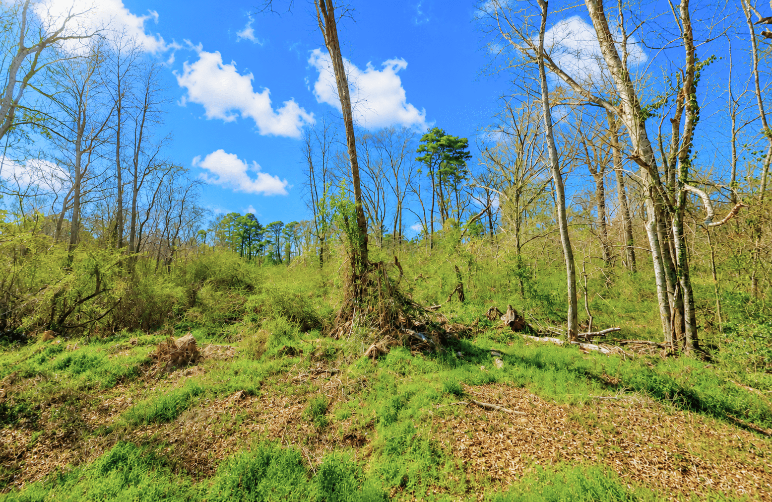 4 0.31 Acres with Highway Frontage & a Peaceful Creek!