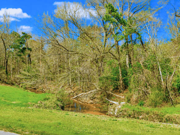 0.31 Acres with Highway Frontage & a Peaceful Creek!