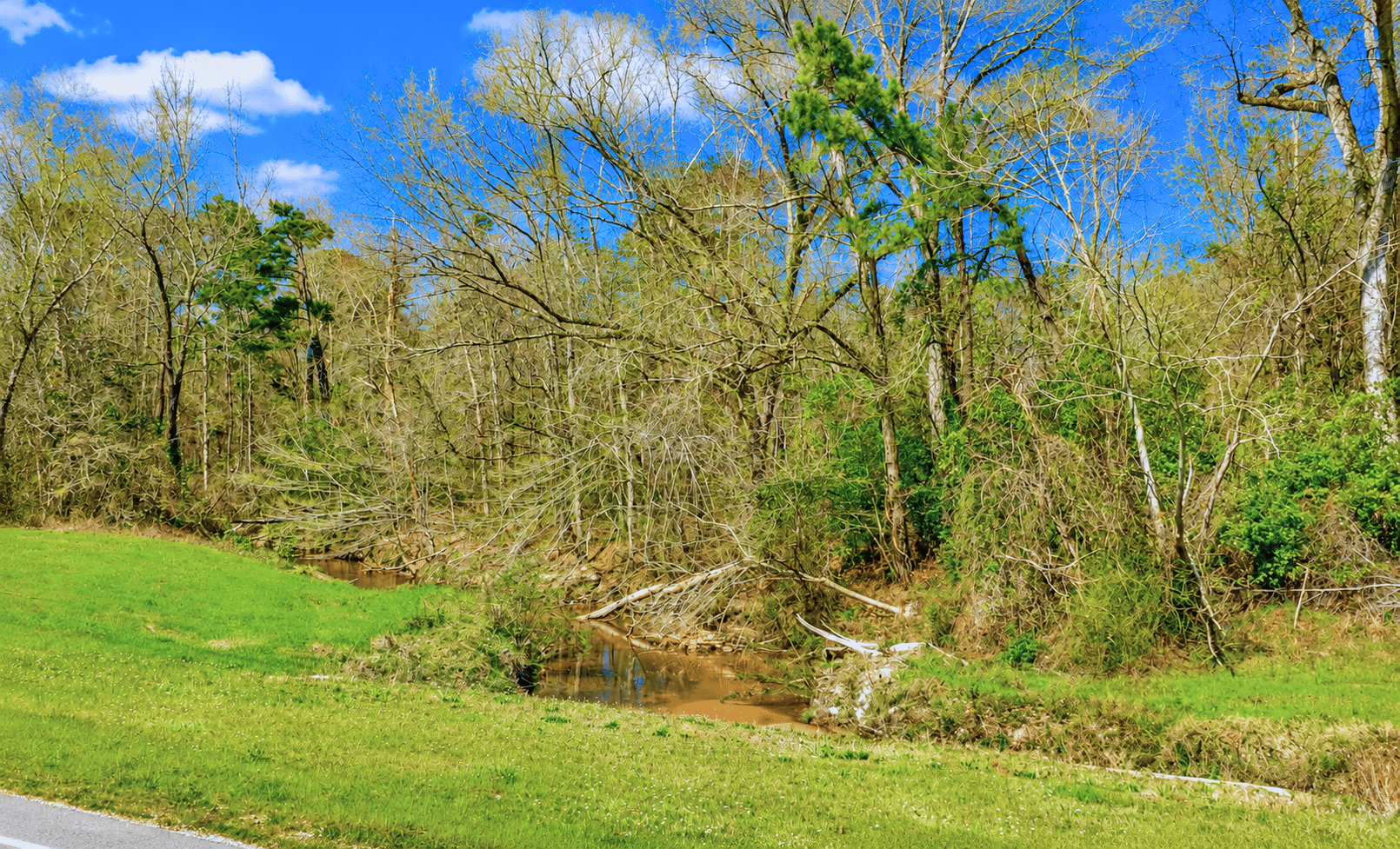 6 0.31 Acres with Highway Frontage & a Peaceful Creek!