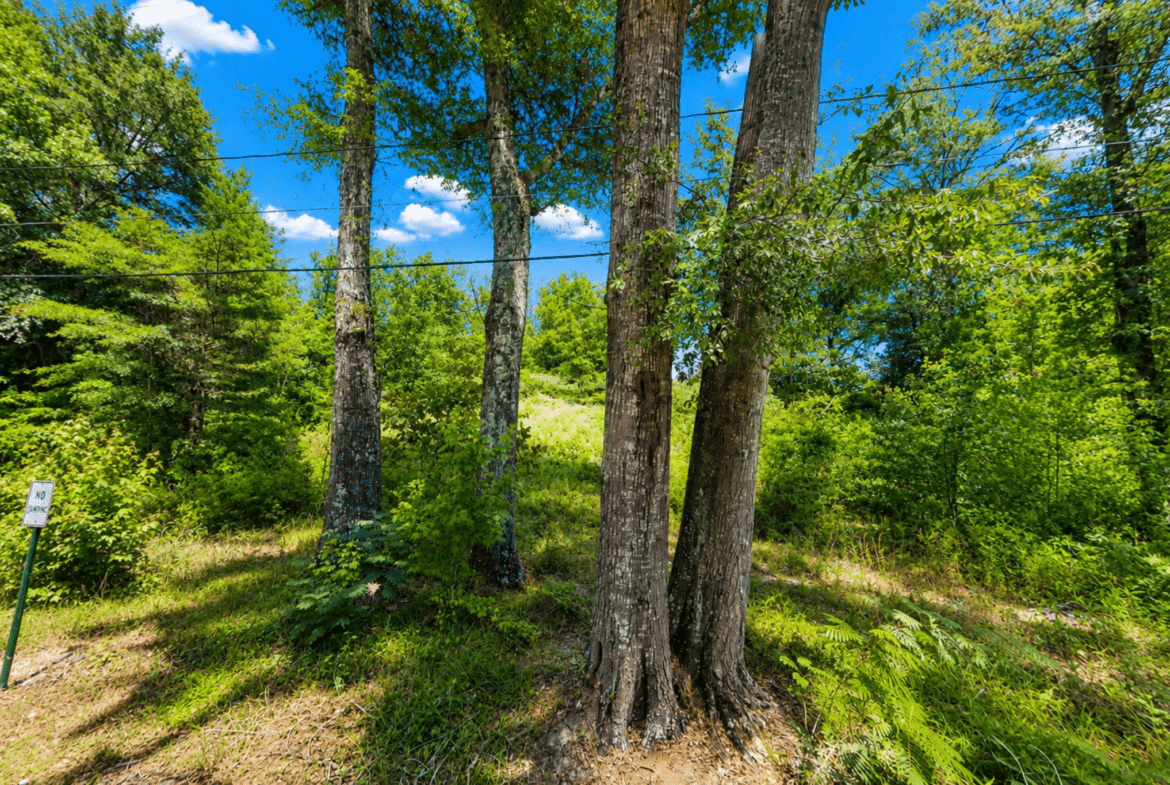 0.14 Acres of Peace, Privacy & Investment Potential!