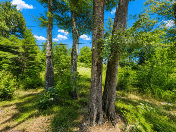 0.14 Acres of Peace, Privacy & Investment Potential!