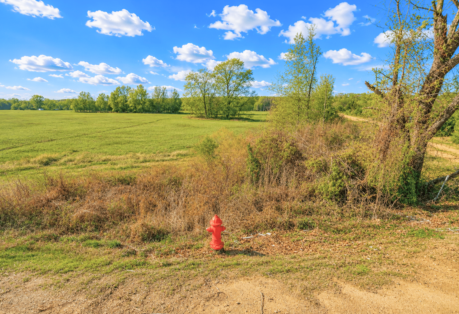 3 0.25-Acre Corner Lot w/ Utilities!