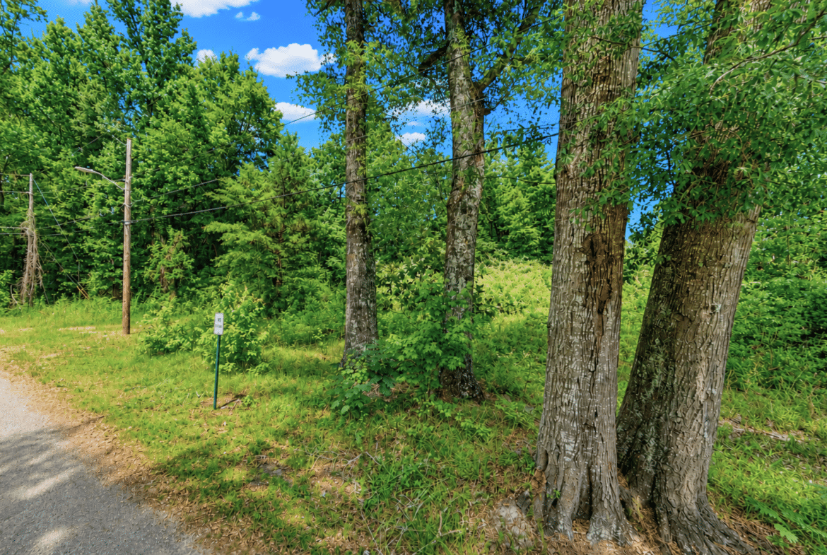 0.14 Acres of Peace, Privacy & Investment Potential!