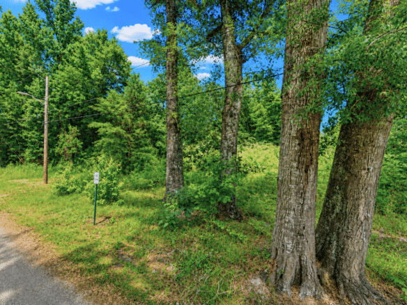 0.14 Acres of Peace, Privacy & Investment Potential!