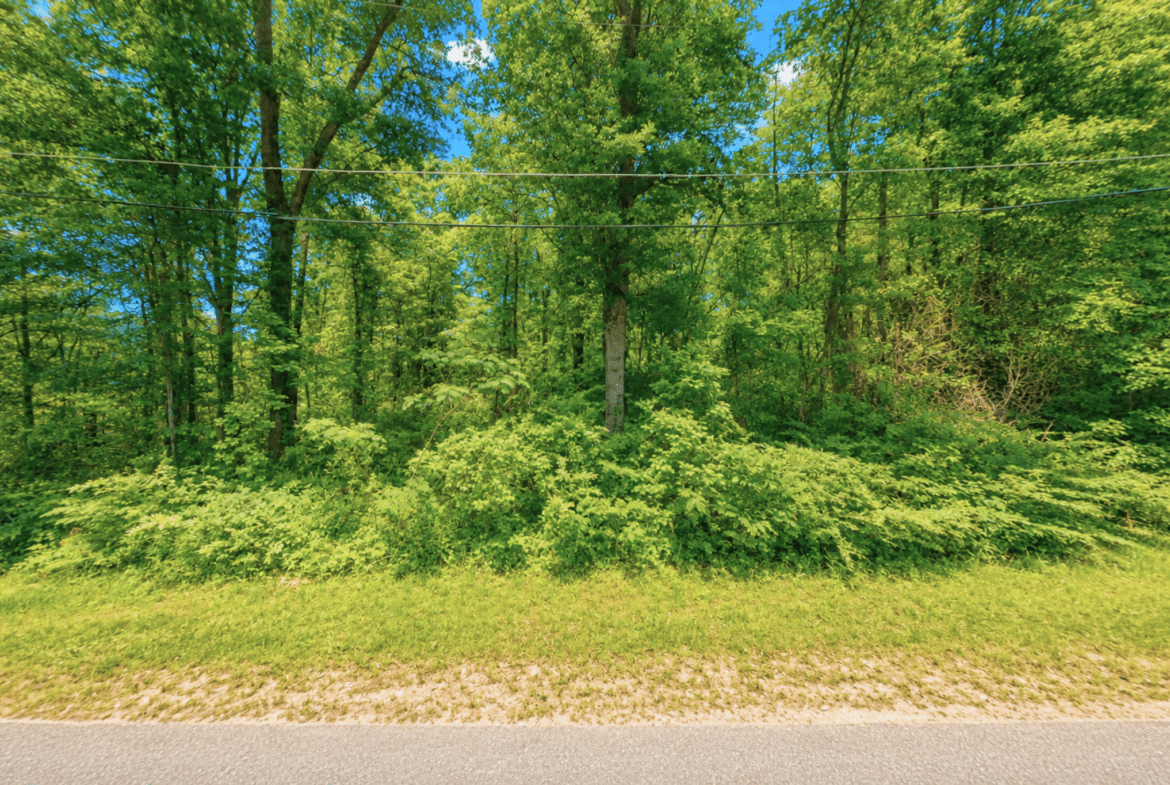 Perfect 0.14-Acre Homesite in Laurel, MS