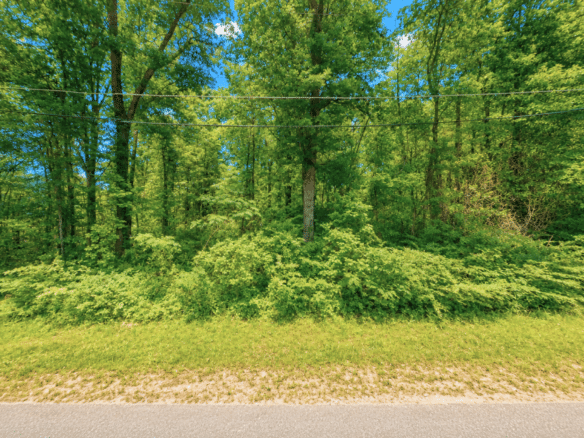 Perfect 0.14-Acre Homesite in Laurel, MS