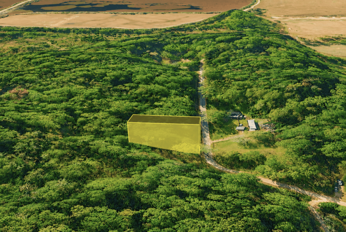 0.14 Acres of Peace, Privacy & Investment Potential!