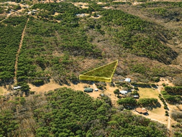 Wooded 0.80-Acre Lot in in Mulga, AL