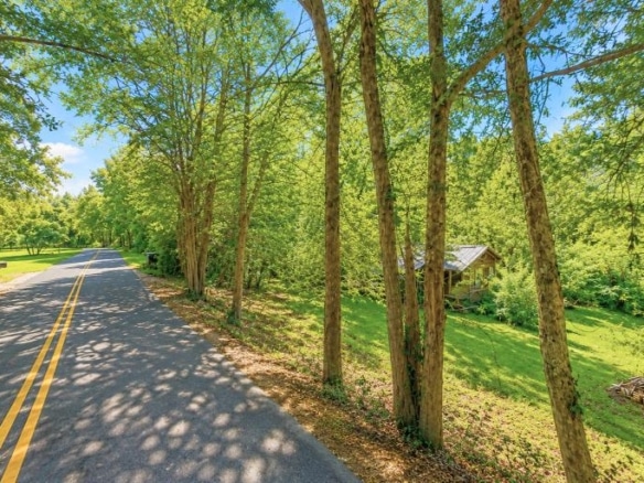 Wooded 0.80-Acre Lot in in Mulga, AL