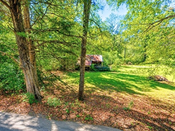 Wooded 0.80-Acre Lot in in Mulga, AL