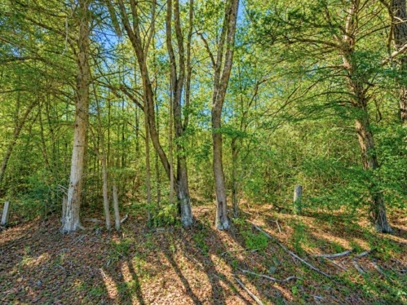 Wooded 0.80-Acre Lot in in Mulga, AL