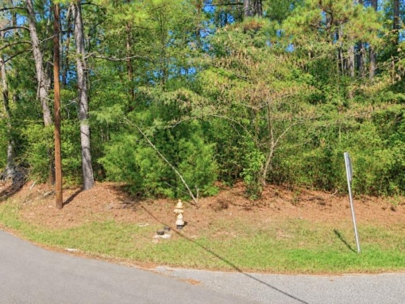 Wooded 0.80-Acre Lot in in Mulga, AL