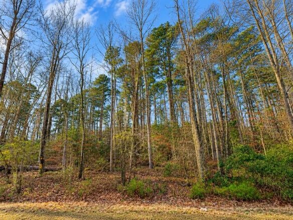 0.19-Acre Land Lot for Sale Near Lake Tom Bailey in Toomsuba, MS