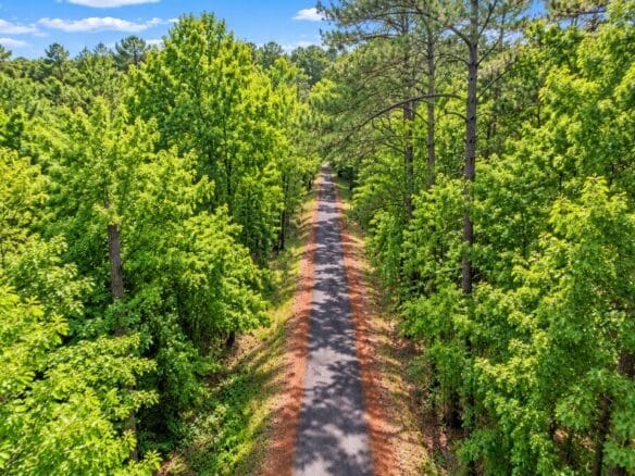 Wooded 1-Acre Land for Sale Near Brandon, Mississippi