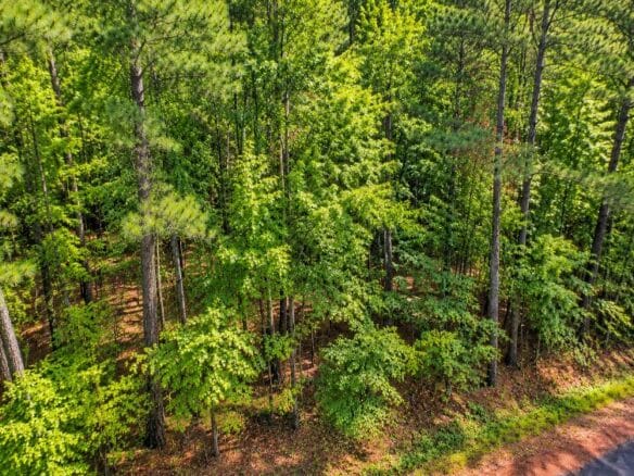 Wooded 1-Acre Land for Sale Near Brandon, Mississippi