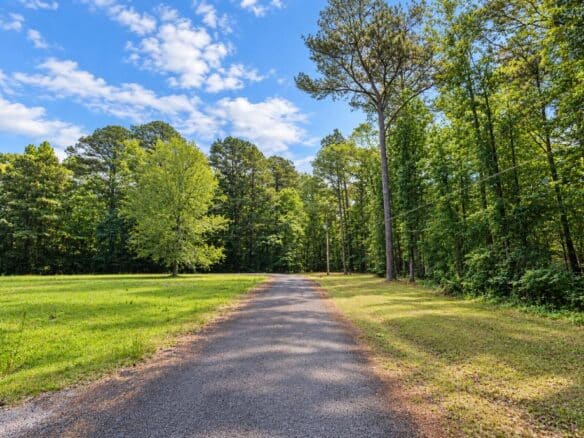 Wooded 1-Acre Land for Sale Near Brandon, Mississippi