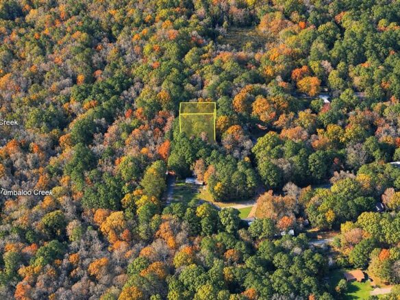 Wooded 1-Acre Land for Sale Near Brandon, Mississippi