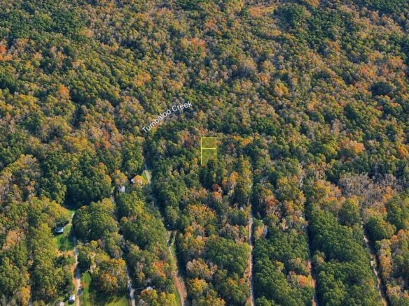 Wooded 1-Acre Land for Sale Near Brandon, Mississippi