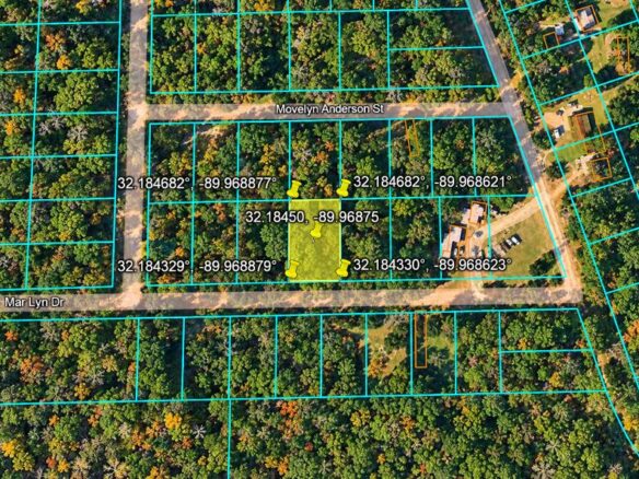 Wooded 1-Acre Land for Sale Near Brandon, Mississippi