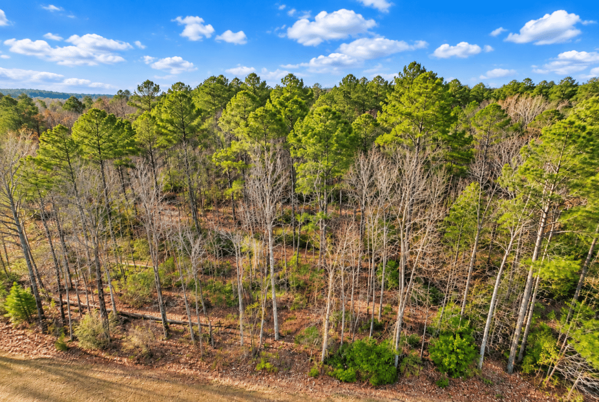 0.19-Acre Land Lot for Sale Near Lake Tom Bailey in Toomsuba, MS - photo 1