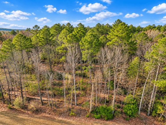 0.19-Acre Land Lot for Sale Near Lake Tom Bailey in Toomsuba, MS