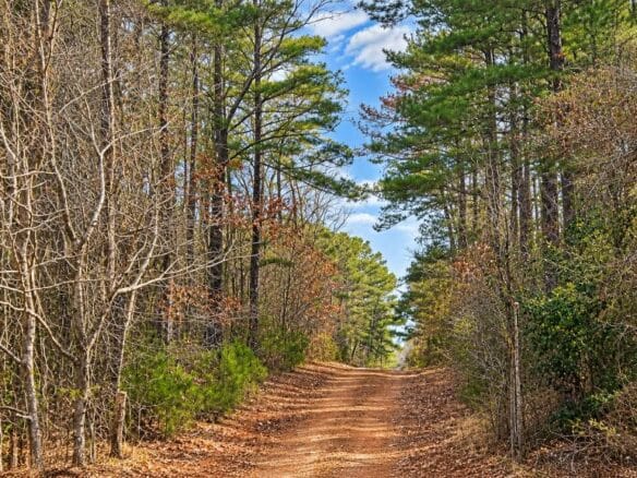 0.19-Acre Land Lot for Sale Near Lake Tom Bailey in Toomsuba, MS