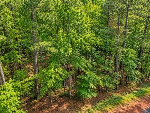 Wooded 1-Acre Land for Sale Near Brandon, Mississippi
