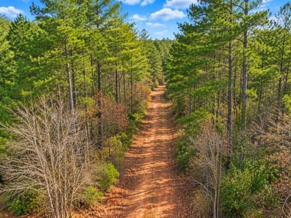 0.19-Acre Land Lot for Sale Near Lake Tom Bailey in Toomsuba, MS