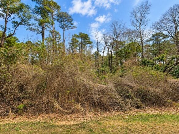 0.19-Acre Land Lot for Sale Near Lake Tom Bailey in Toomsuba, MS