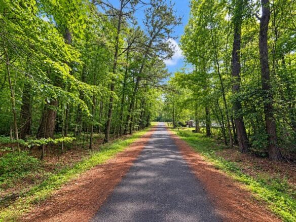 Wooded 1-Acre Land for Sale Near Brandon, Mississippi