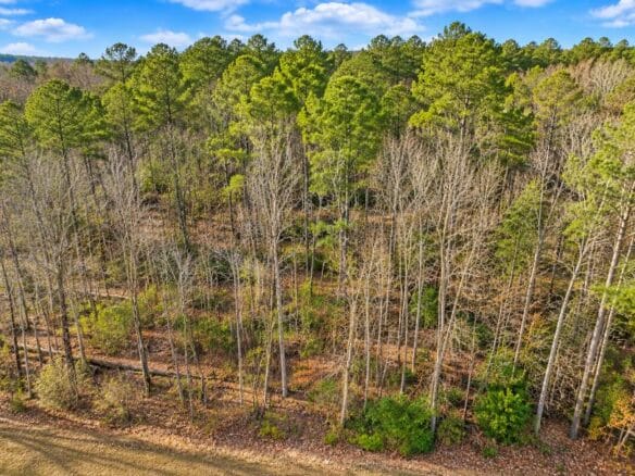 0.19-Acre Land Lot for Sale Near Lake Tom Bailey in Toomsuba, MS