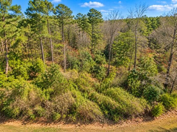 0.19-Acre Land Lot for Sale Near Lake Tom Bailey in Toomsuba, MS