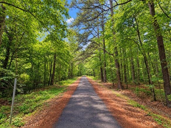 Wooded 1-Acre Land for Sale Near Brandon, Mississippi