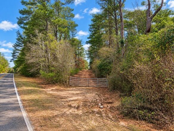 0.19-Acre Land Lot for Sale Near Lake Tom Bailey in Toomsuba, MS