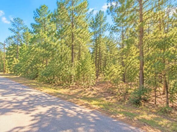 Mississippi Land for Sale Near Enid Lake – 0.20 Acres!