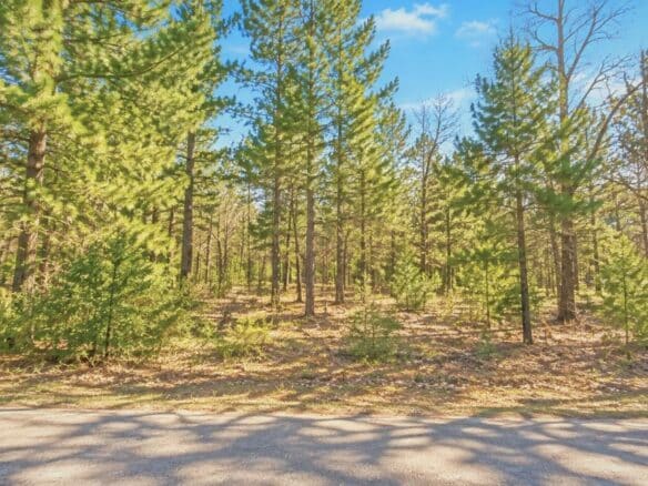 Mississippi Land for Sale Near Enid Lake – 0.20 Acres!