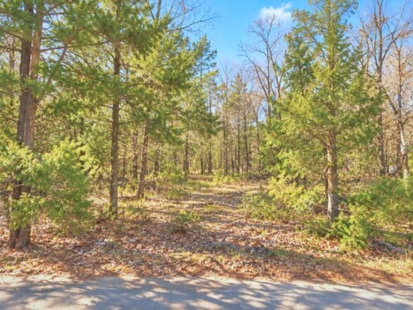 Mississippi Land for Sale Near Enid Lake – 0.20 Acres!