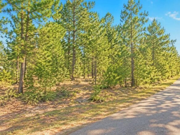 Mississippi Land for Sale Near Enid Lake – 0.20 Acres!