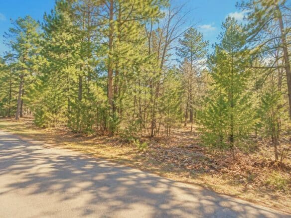 Mississippi Land for Sale Near Enid Lake – 0.20 Acres!