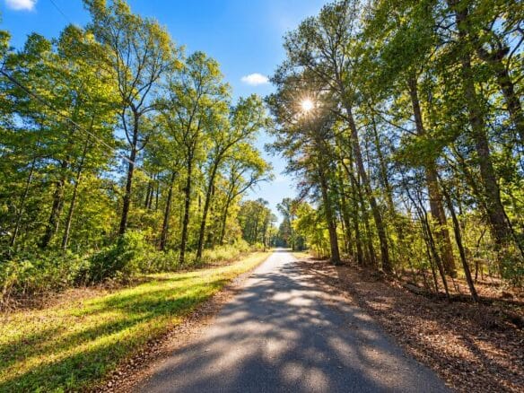 0.25-Acre Wooded Lot for Sale in Rankin County, MS!