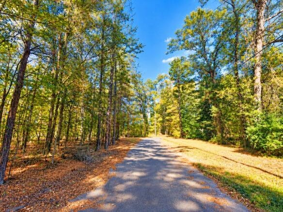 0.25-Acre Wooded Lot for Sale in Rankin County, MS!