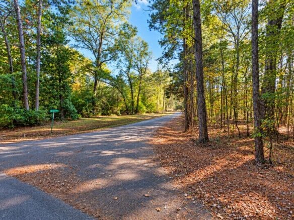 0.25-Acre Wooded Lot for Sale in Rankin County, MS!